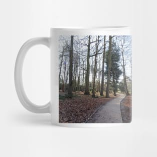 Lovely path and walk in the woods Mug